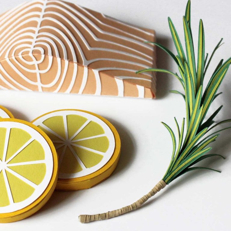 Rohes Lachsfilet, Zitronenscheiben und ein grüner Zweig aus Papier auf weißem Hintergrund.